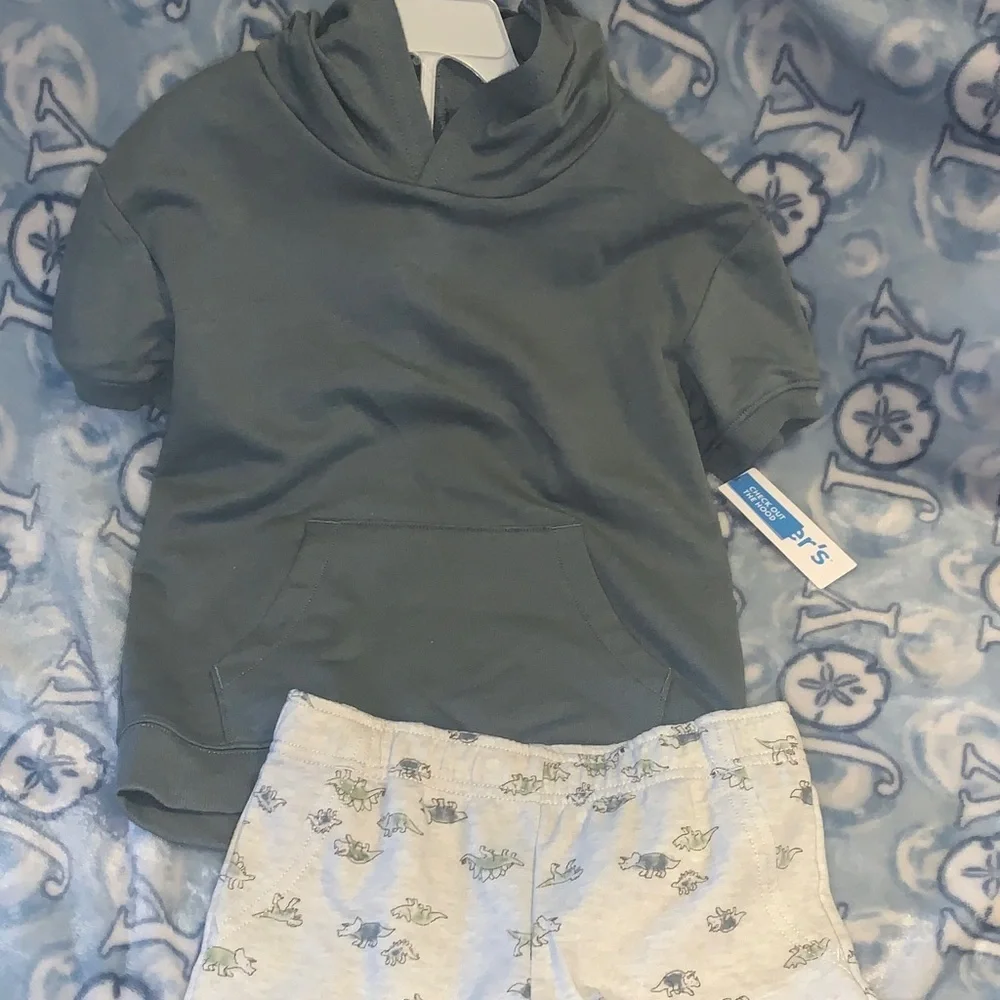 Carter's Hoodie Sweatshirt and shorts set